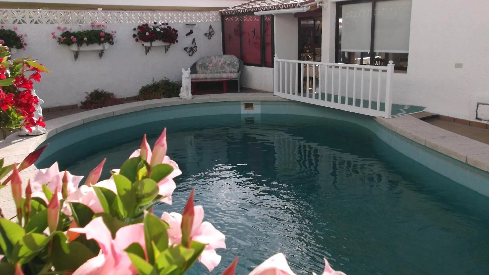 Piscina, Chalet, Villa Tranquila의 연락처
